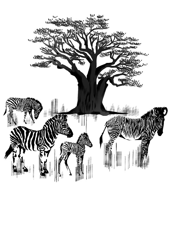 600x800 Zebra And Baobab Tree Stickers By Lotacats Redbubble