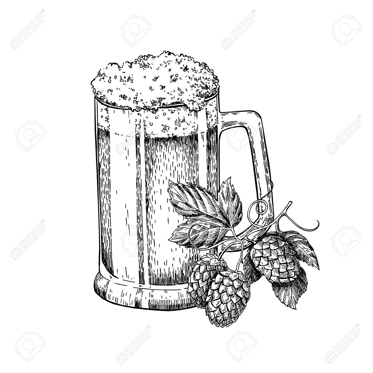 1300x1300 Beer Glass Mug With Hop. Sketch Style Vector Illustration. Hand