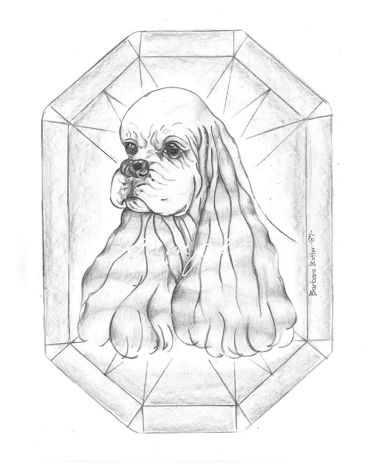 1208x1500 Cocker Spaniel Original Drawing Headstudy Show Quality Signed By