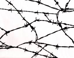 253x199 Image Result For Barbed Wire Drawing Photography
