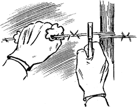 284x221 Crossing Barbed Wire