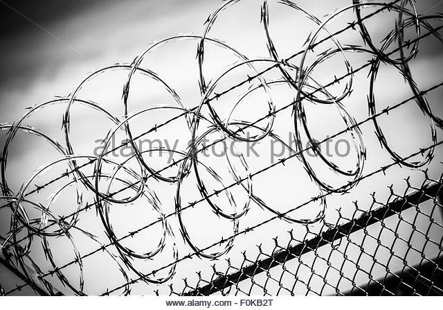 640x447 Barbed Wire Fence Black And White Stock Photos Amp Images