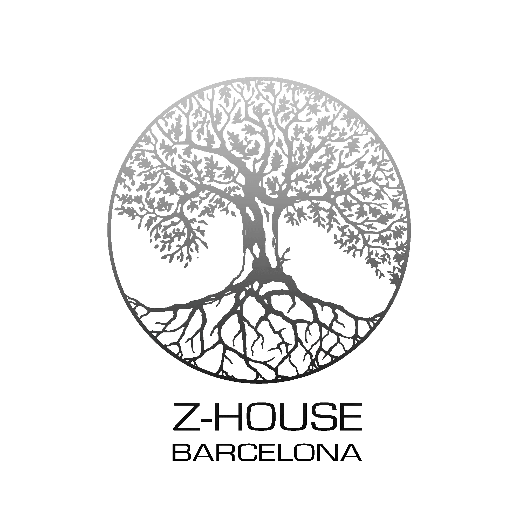 2000x2000 Z House Barcelona, Real Estate.