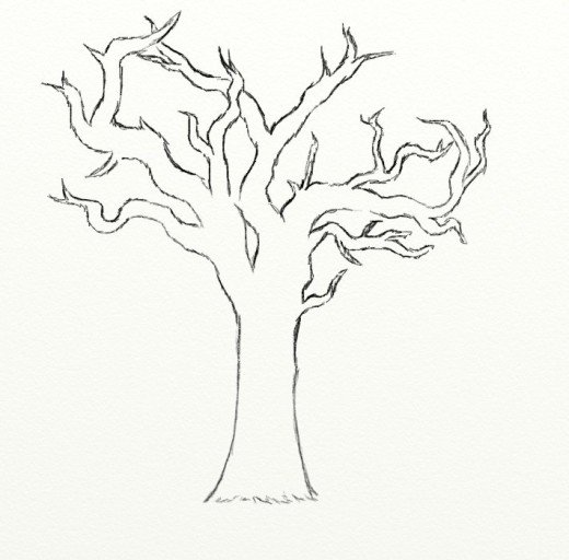 520x512 Gallery Drawings Of Dead Trees,