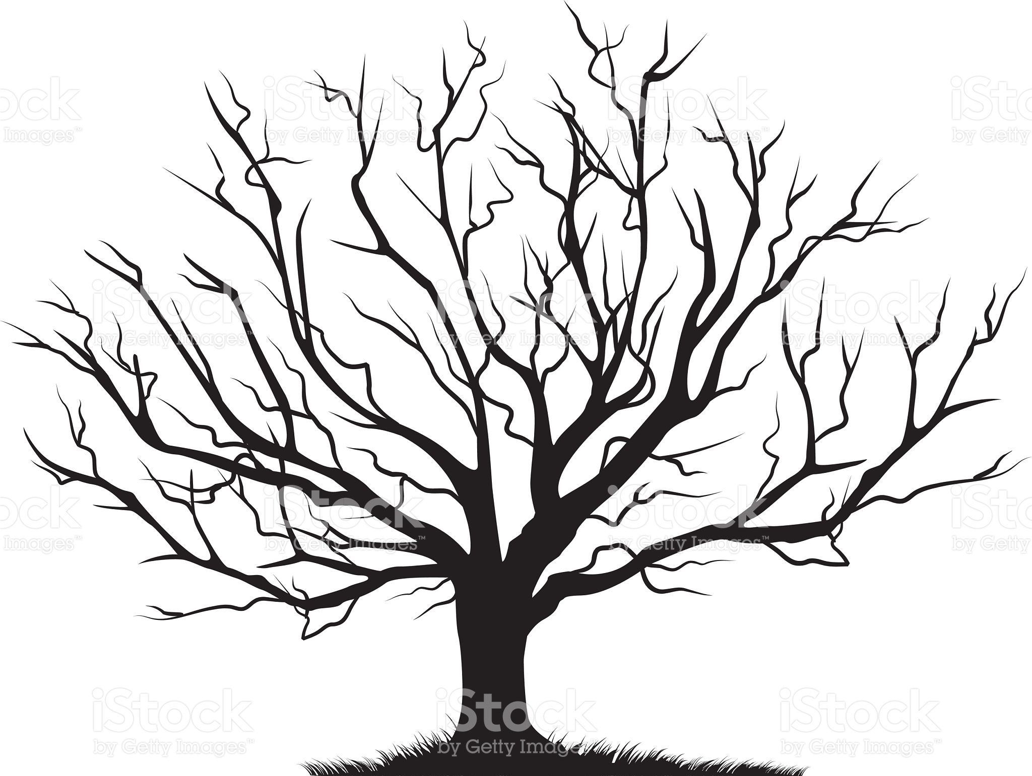 2048x1541 Deciduous Bare Tree With Empty Branches Black Silhouette Isolated