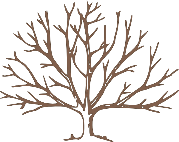 600x477 Bare Tree Brown Bare Tree Clip Art
