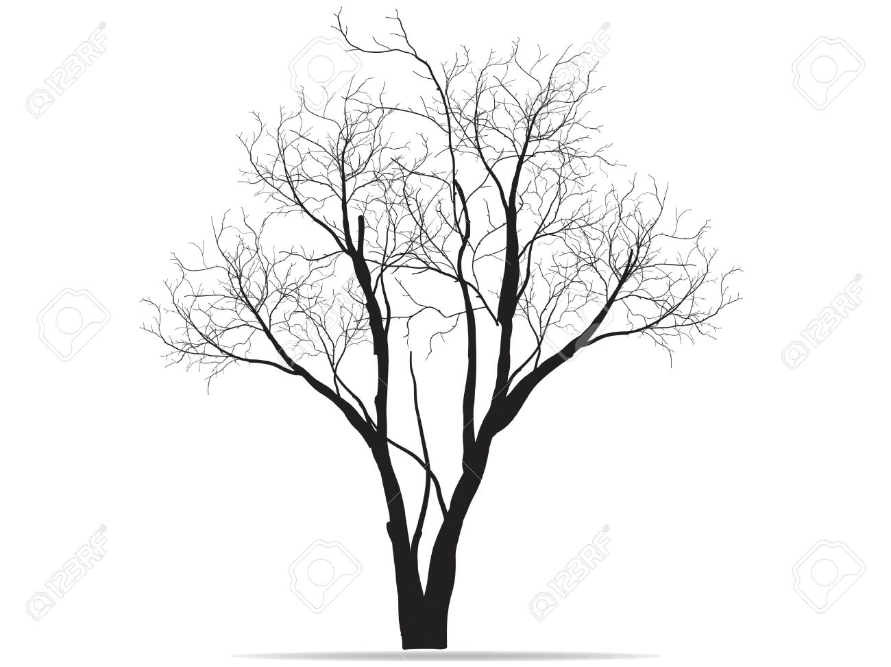 1300x973 Vector Black Silhouette Of A Bare Tree Royalty Free Cliparts