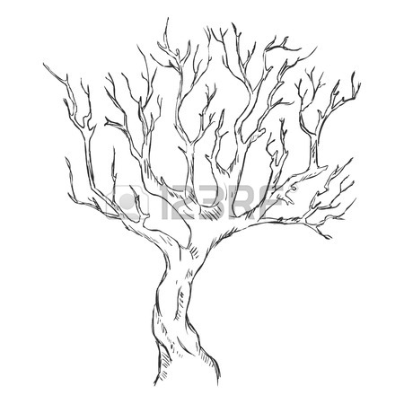 450x450 Bare Tree Stock Photos. Royalty Free Business Images