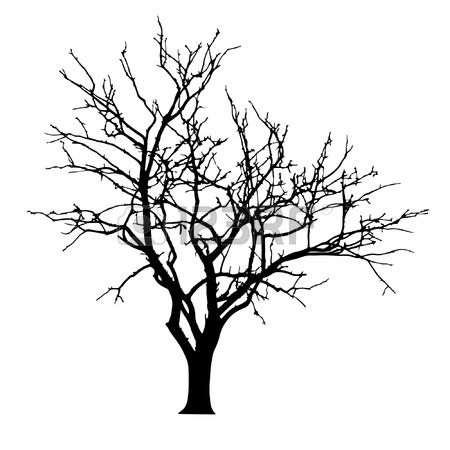 450x450 Bare Tree Stock Photos. Royalty Free Business Images