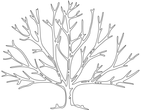 480x375 Bare Tree Coloring Page Free Printable Coloring Pages