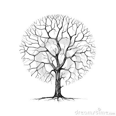 400x400 Awesome Pictures Of Bare Trees In Winter A Tree Winter Drawing