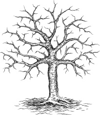 205x235 Deciduous Bare Tree With Empty Branches Black Silhouette Isolated