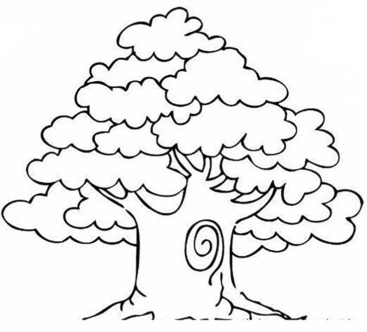 736x666 Bare Tree Coloring Page Best Trees Loring Pages Images