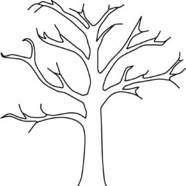 268x268 Bare Tree Coloring Sheet Coloring Page