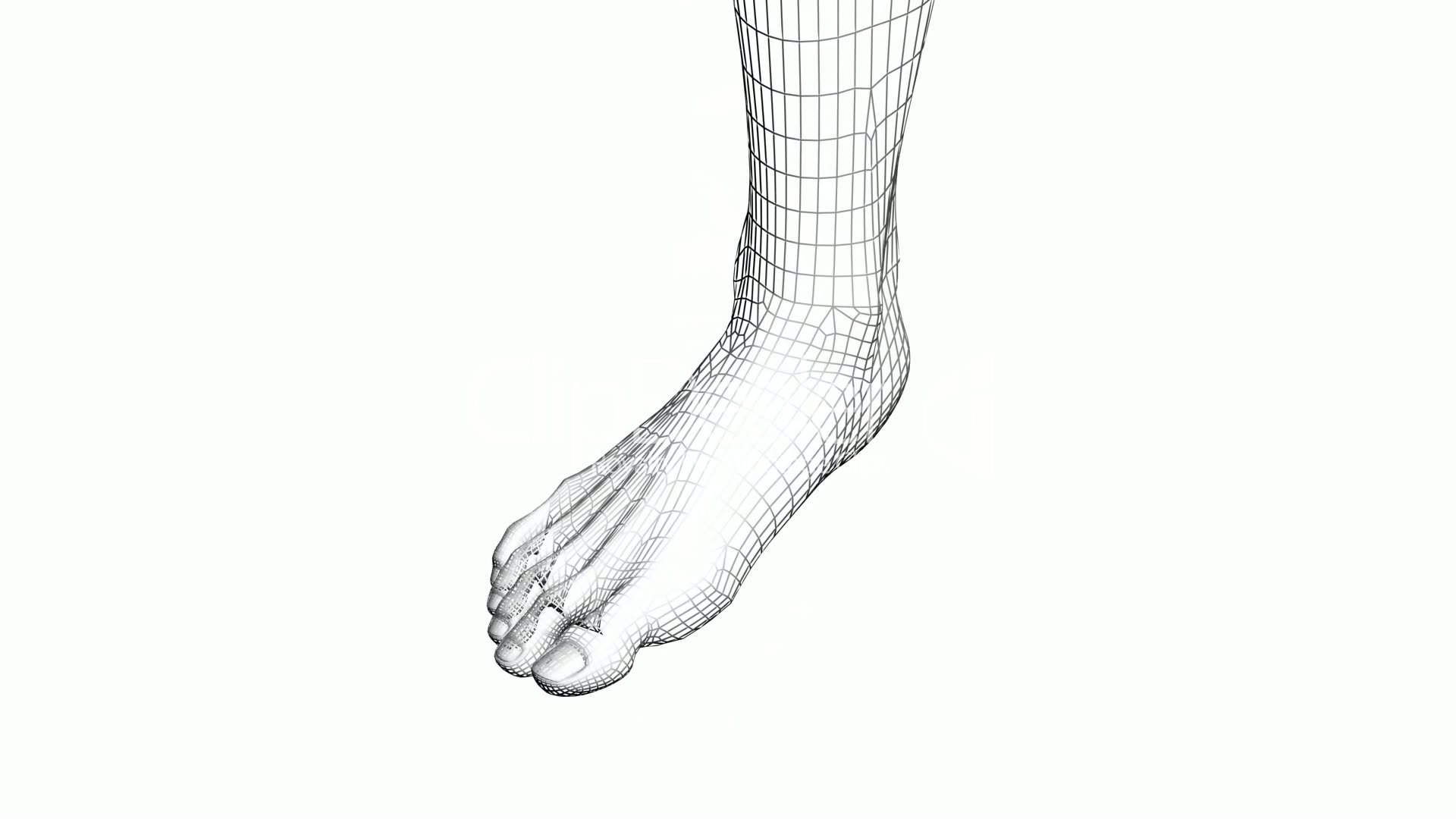 1920x1080 Rotation Of 3d Foot.leg,health,barefoot,foot,beauty,care,human