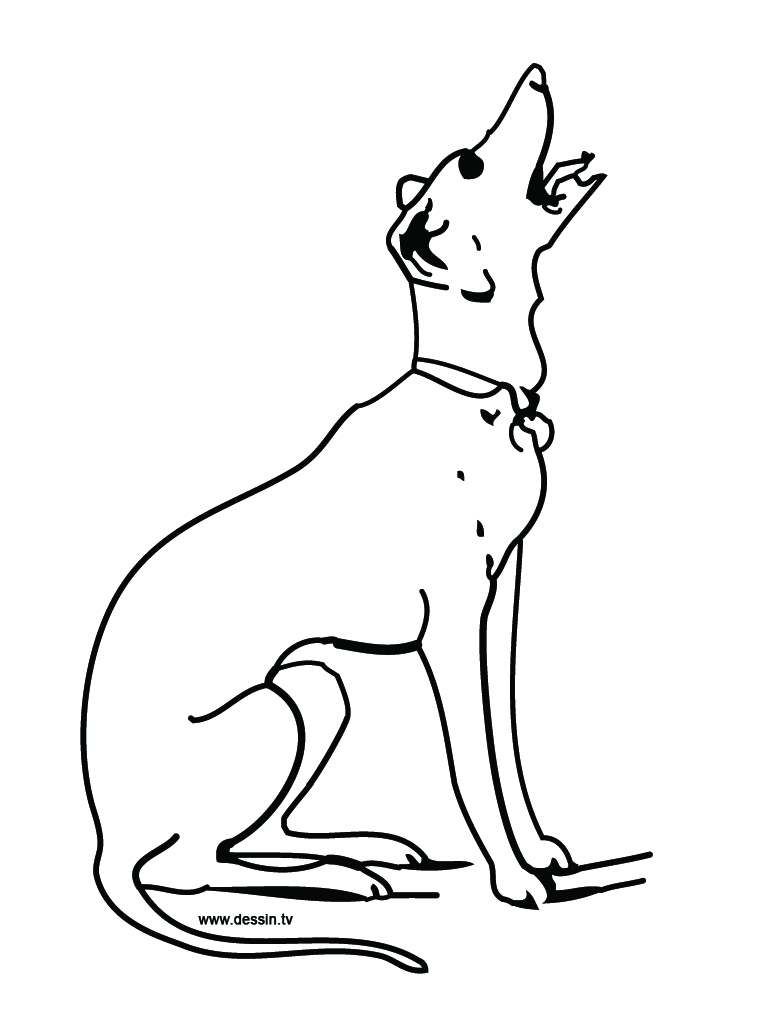 768x1024 Coloring Barking Dog