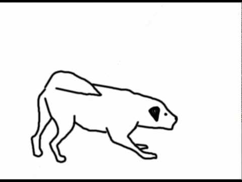 480x360 Animation Of A Dog Barking (Line Test)