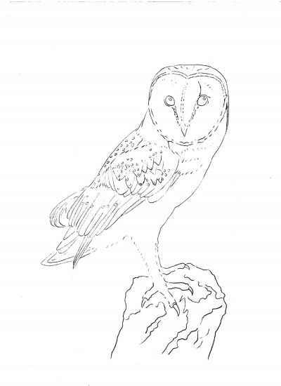 400x550 Index Of Homewp Contentuploads201509