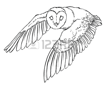 450x381 Barn Owl Clipart
