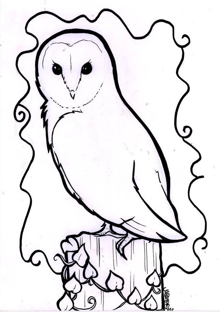 751x1063 Barn Owl Line Drawing Owl Crafts Owl, Drawing Owls