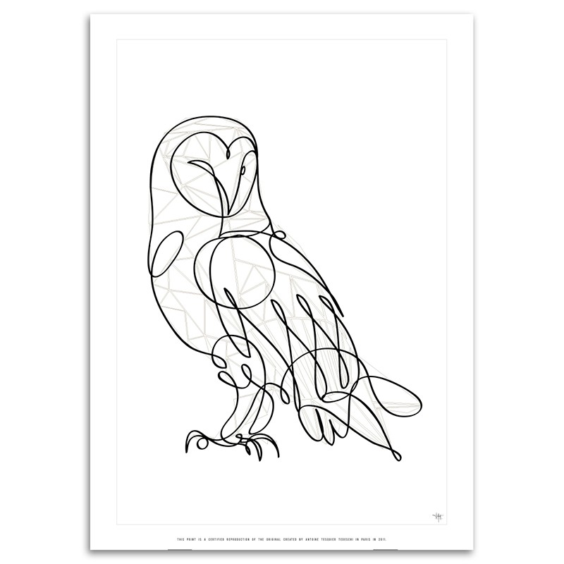800x800 Barn Owl Certified Art Print By Antoine Tesquier Tedeschi For Hu2