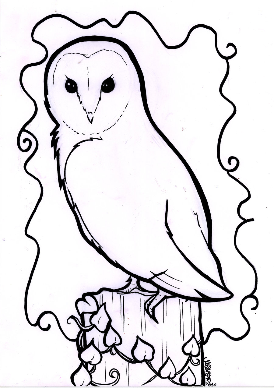 900x1274 Barnowl Lineart By Pepperfrukt
