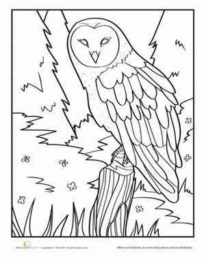 301x378 Owl Worksheet
