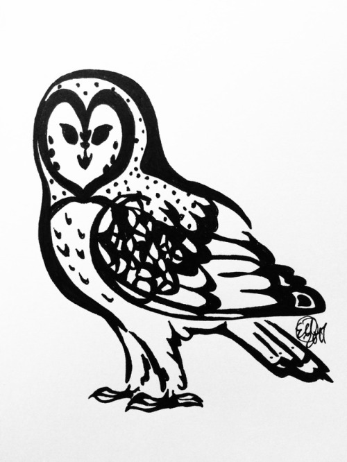500x666 Owl Wing Drawing Tumblr