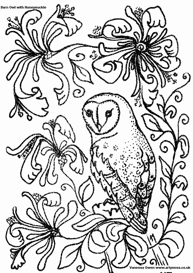 636x900 Barn Owl Coloring Page