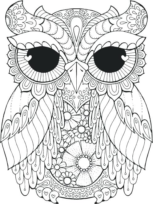 497x659 Excellent Owls Coloring Pages Best Of Animal Barn Owl Color Me