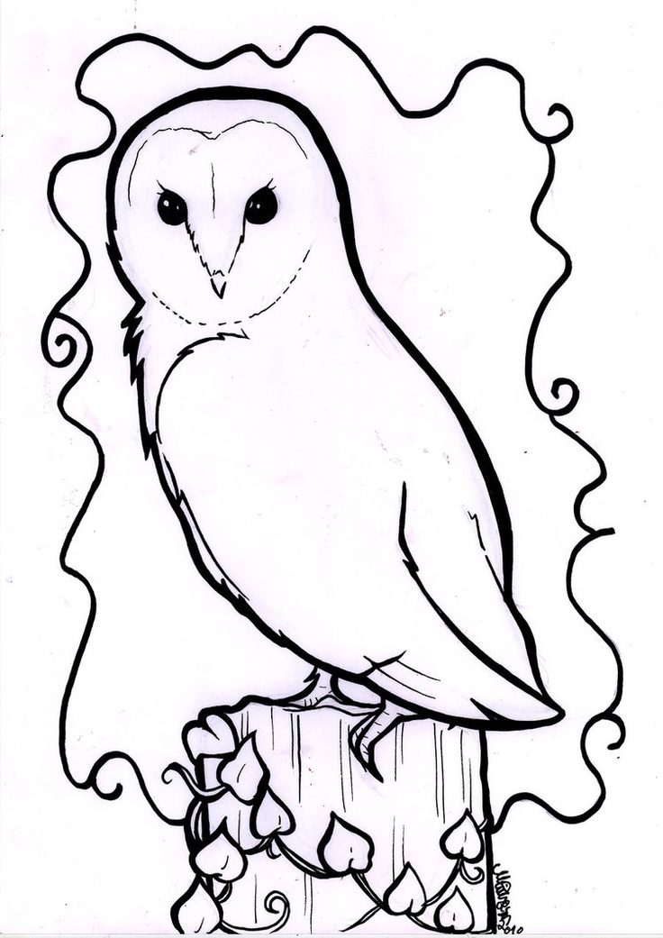 736x1041 Owl Line Drawing Barn Owl Line Drawing Tattoos Owl Love