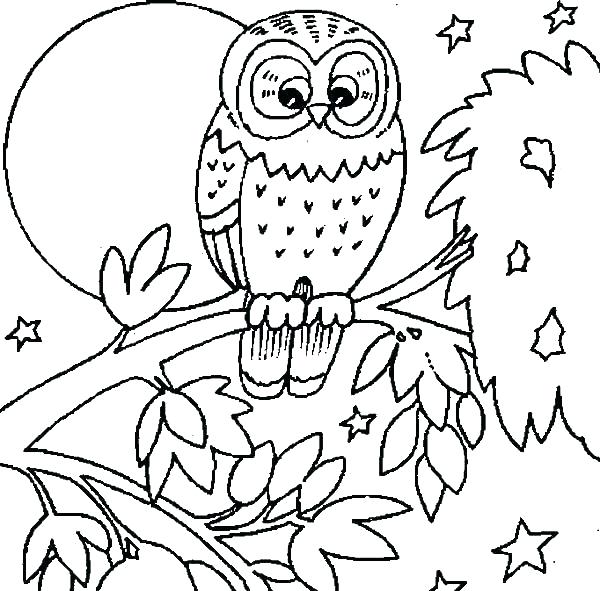 600x591 Barn Owl Coloring Page Images Of Owl Coloring Sheets Snowy Owl