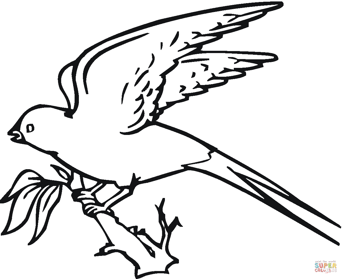 1200x978 Swallows Coloring Pages Free Coloring Pages