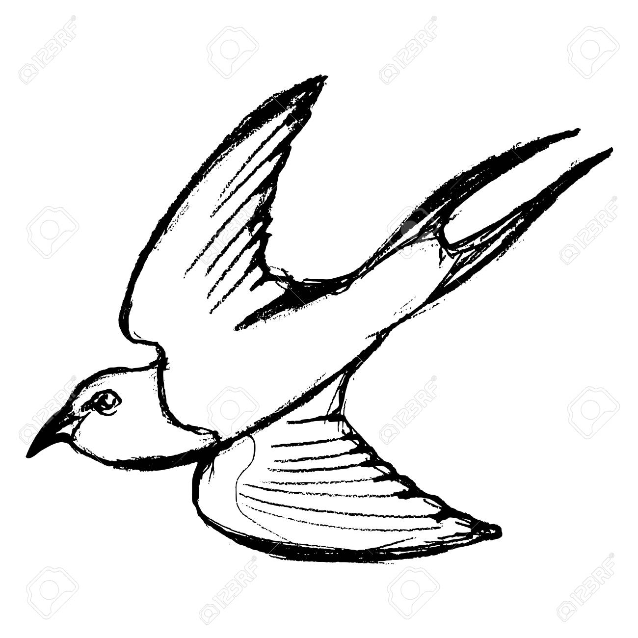 1300x1300 Vector, Sketch, Hand Drawn Illustration Of Swallow Royalty Free