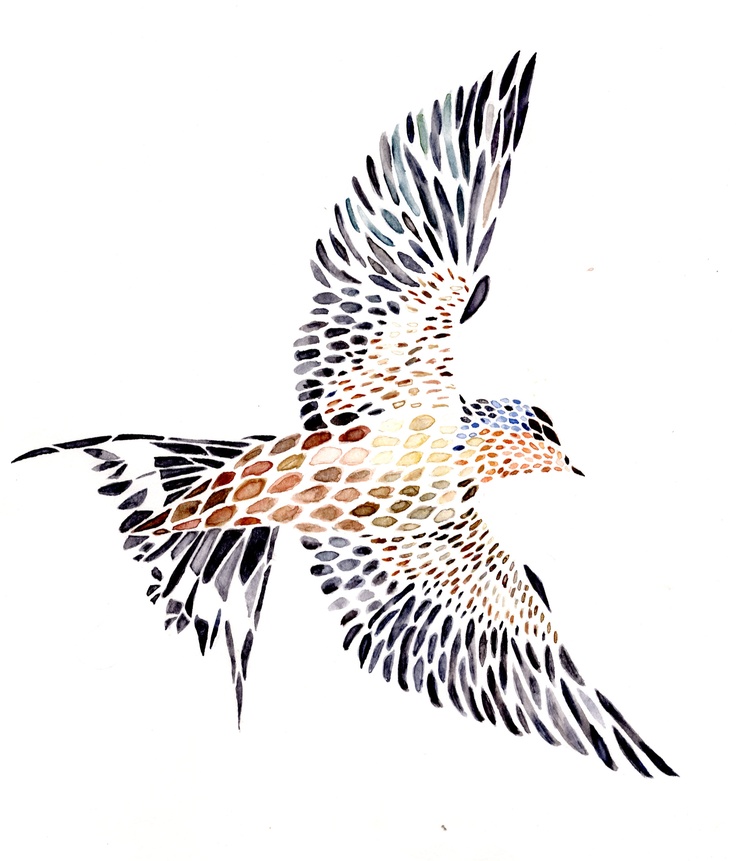 736x861 15 Best Bird Illustration Images On Swallows, Bird