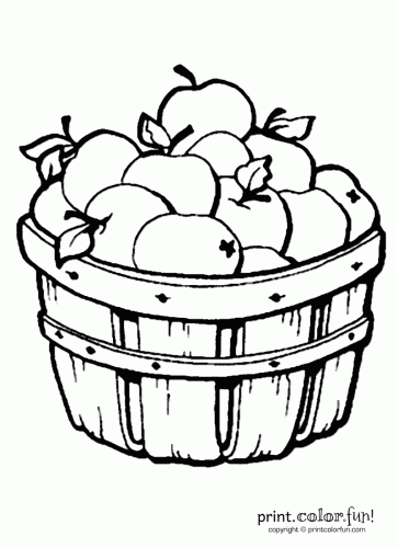 363x500 Apples In A Barrel Coloring Page
