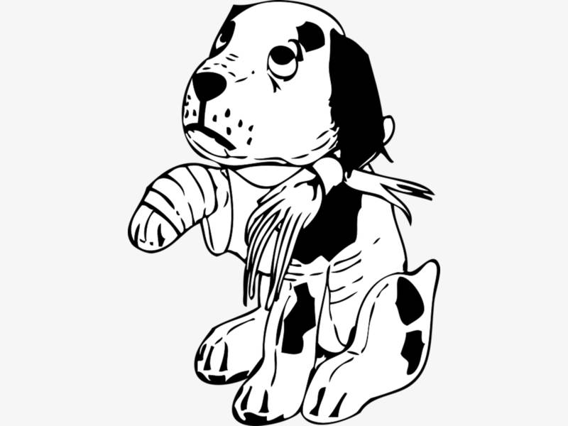 800x600 Man Beats His Dog With Baseball Bat In Sterling Authorities