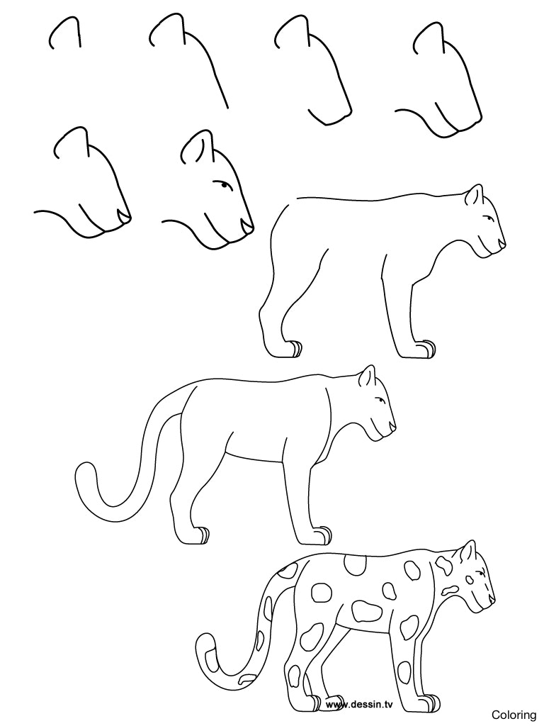 768x1024 7101pgbae L How To Draw A Cat Step By For Beginners Coloring Cats