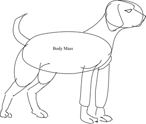 288x246 How To Draw A Dog Realistically Or Cartoon Style