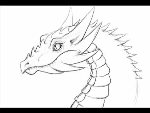 480x360 How To Draw A Dragon