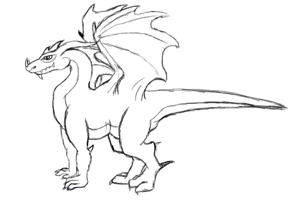 1024x678 Basic Dragon Sketch By Winggedmaster