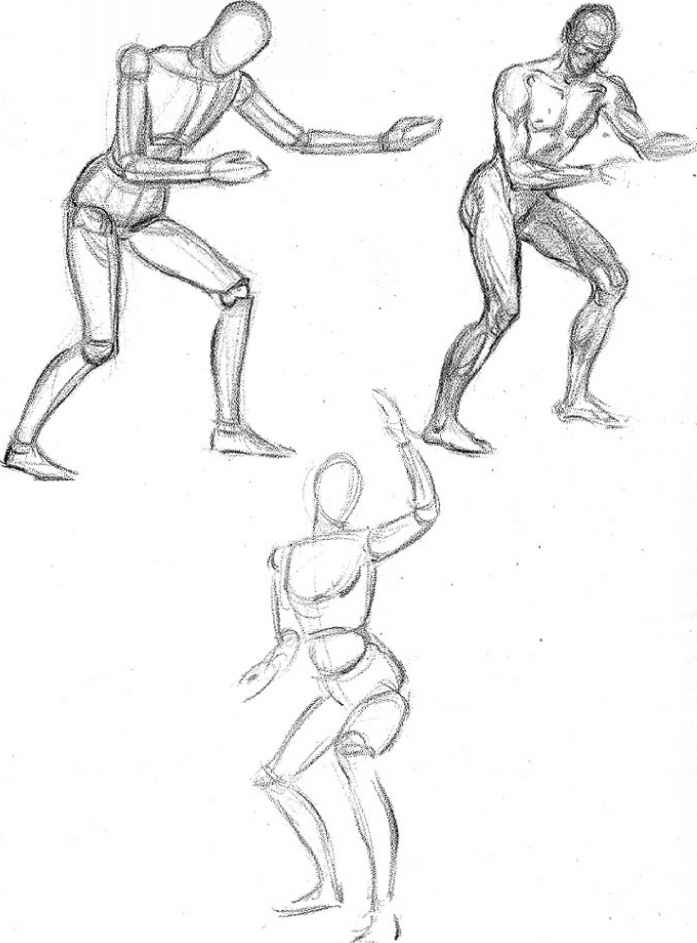 697x943 Using A Manikin For The Study Of Anatomy