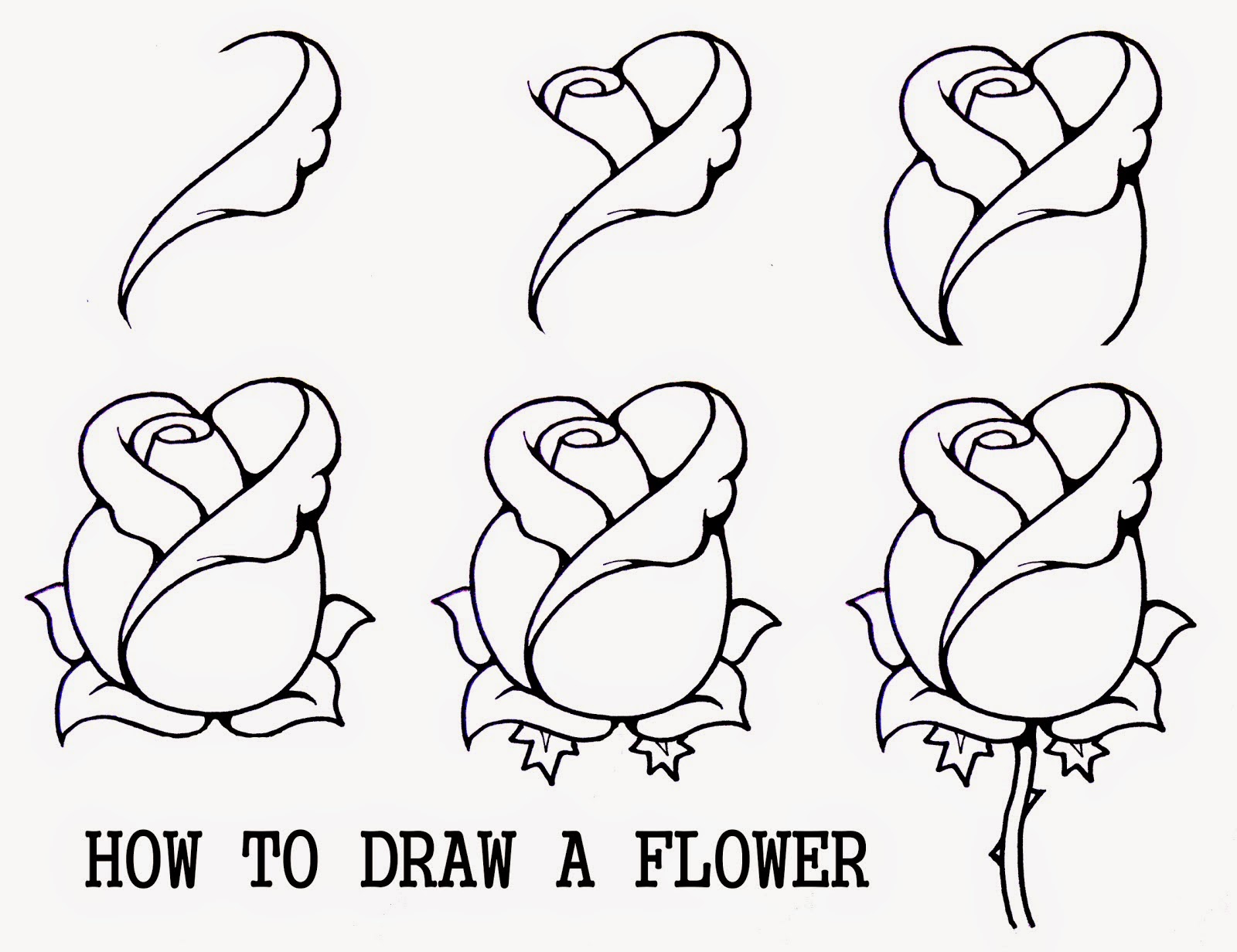 1600x1232 How To Draw A Flower Easy Step By Step