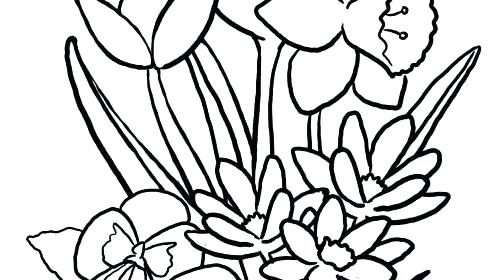 500x280 Coloring Pages Draw Easy Flowers Affan