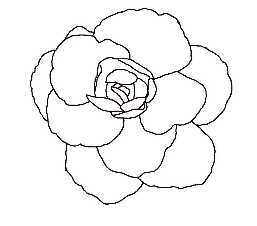 900x791 Line Drawings Of Flowerrs Basic Flower Lineart By Rainny Stock