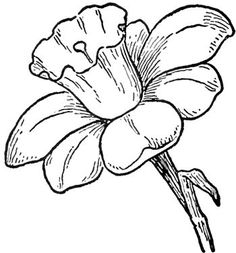 236x253 Simple Flower Pictures To Draw How To Draw A Flower Easy, Step