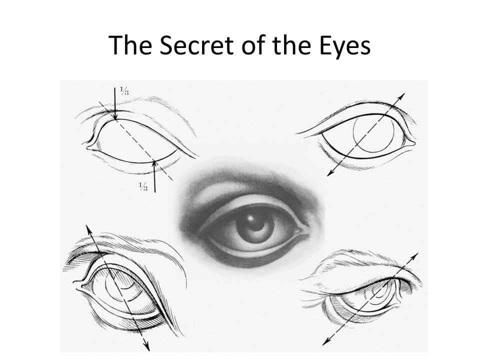 960x720 Head Drawing. Basic Shapes Of The Head How To Begin. No Matter