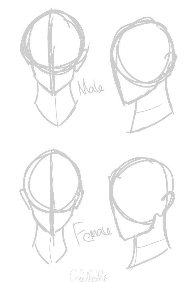 615x915 Sloppy Head Shape Reference! Concept Amino