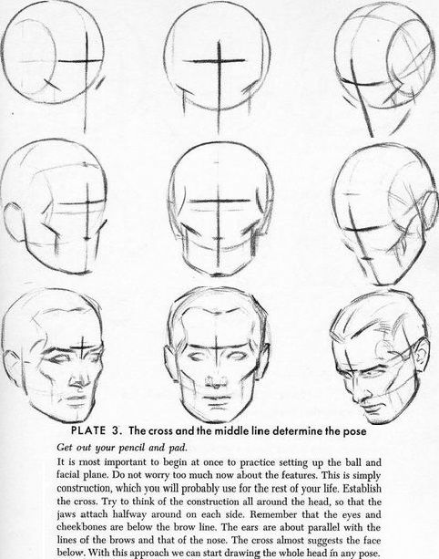 482x613 Basic Human Head Drawing