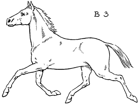 450x337 How To Draw Horses With Easy Step By Step Drawing Lessons